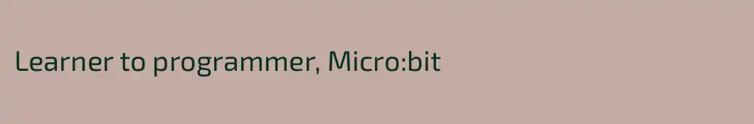 Learner to programmer, Micro:bit